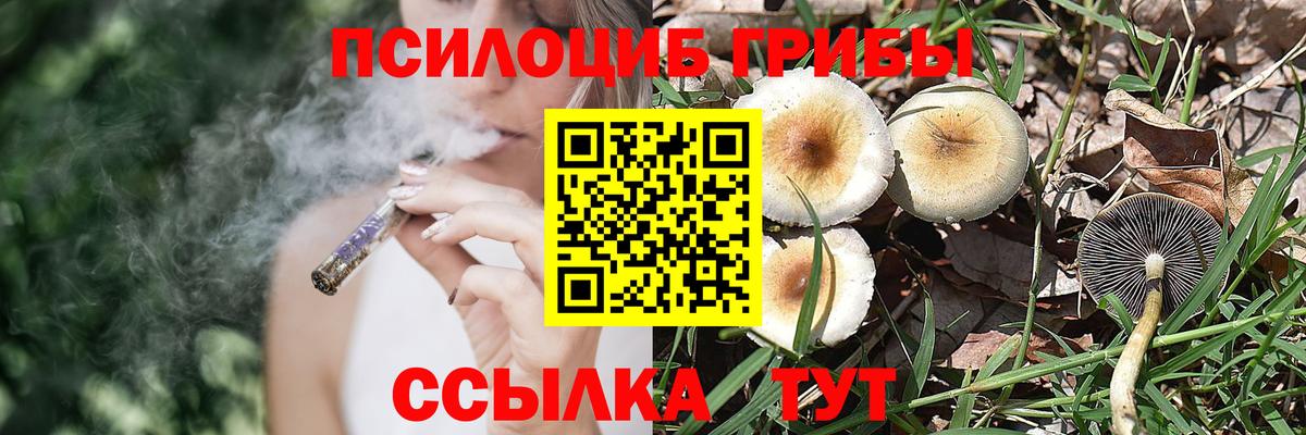 Галлюциногенные грибы мицелий  Вход с VPN  Галлюциногенные грибы Psilocybine cubensis  Славгород 