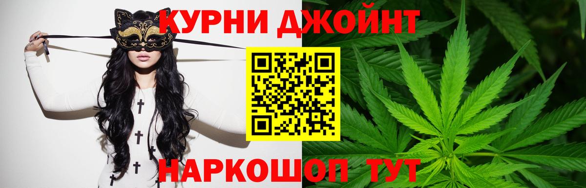 Бошки Шишки ГИДРОПОН  Канабис Bruce Banner  Марихуана планчик  Славгород  Каннабис гибрид  Вход с VPN 